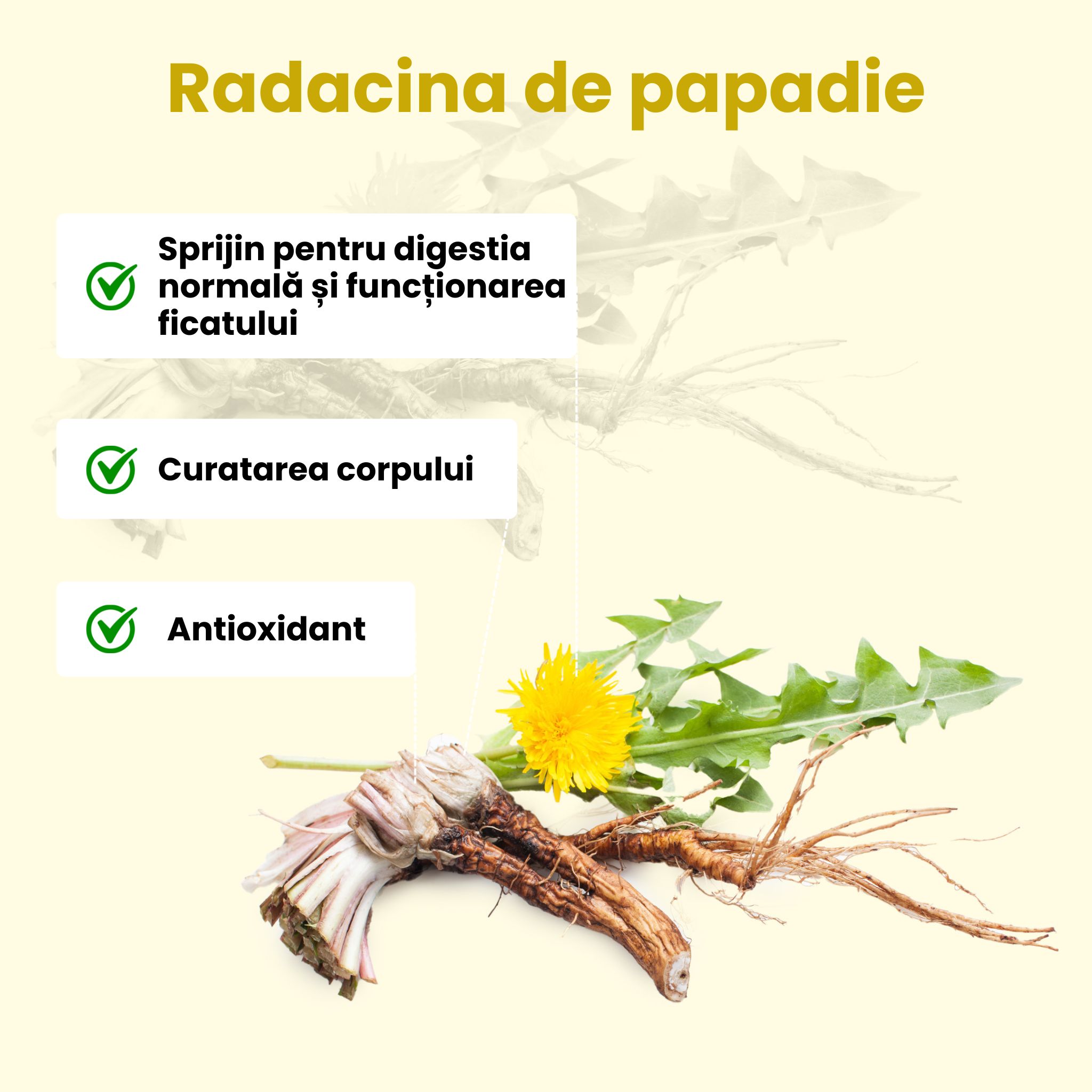(Rumunština) (kopie)